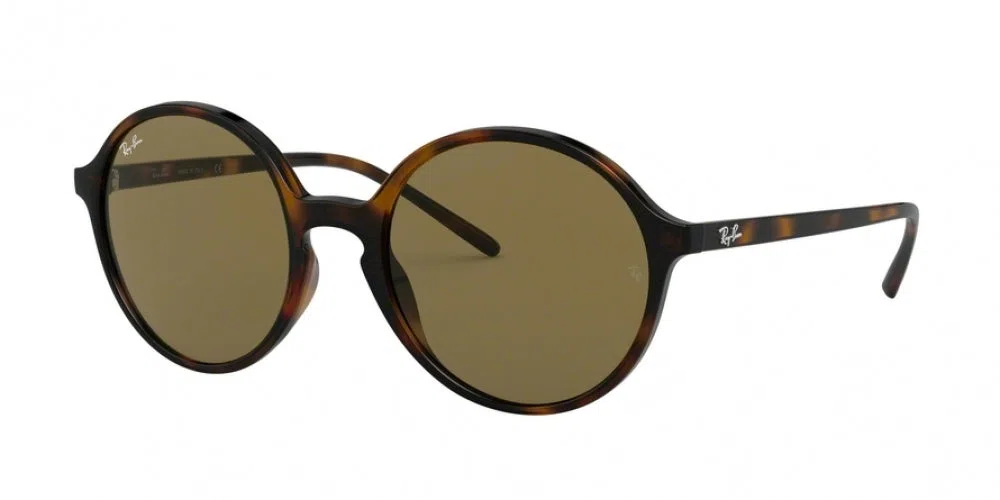 Ray-Ban 4304 Sunglasses - view 4